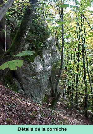 Détail d'une corniche