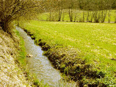 Dérivation du Grumbach pour amener l'eau au moulin